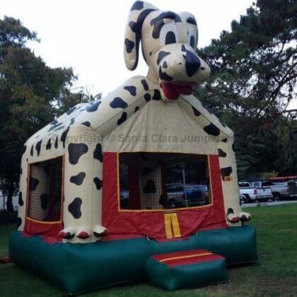 Dalmatian Bouncer