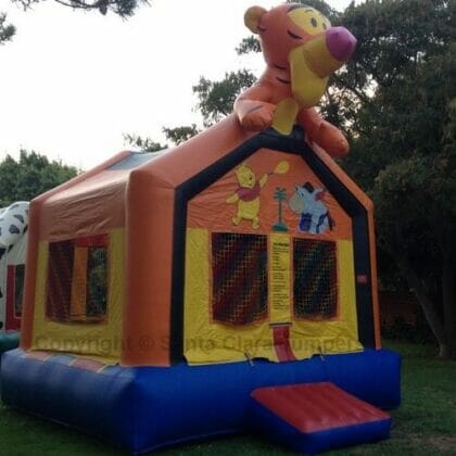Little Tiger Bouncer