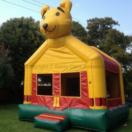 Winnie the Pooh Bouncer